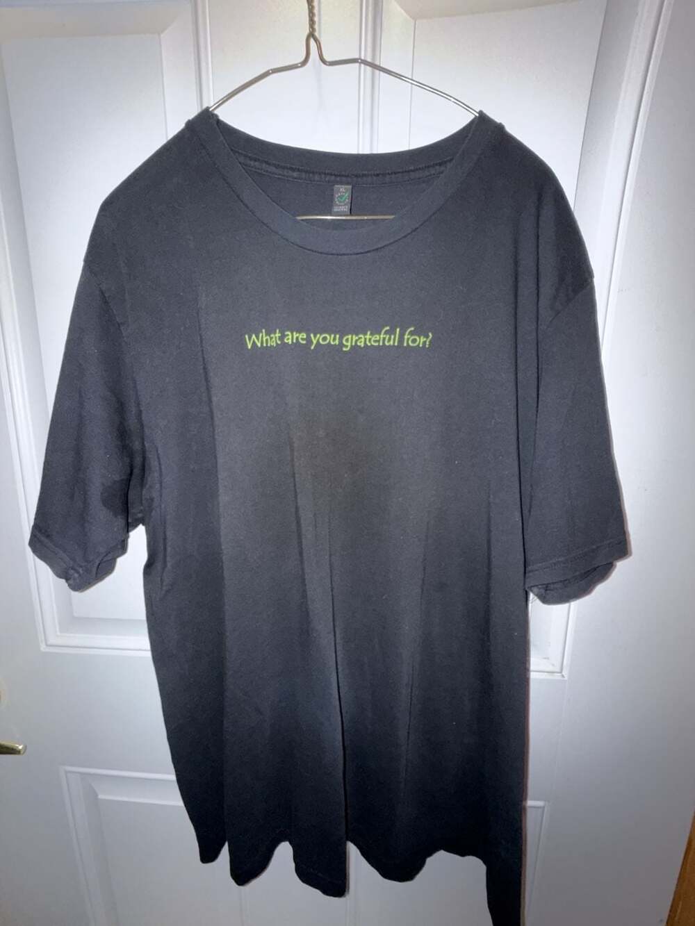 Billie Eilish Official Party Favor 'What are you grateful for?' T-Shirt